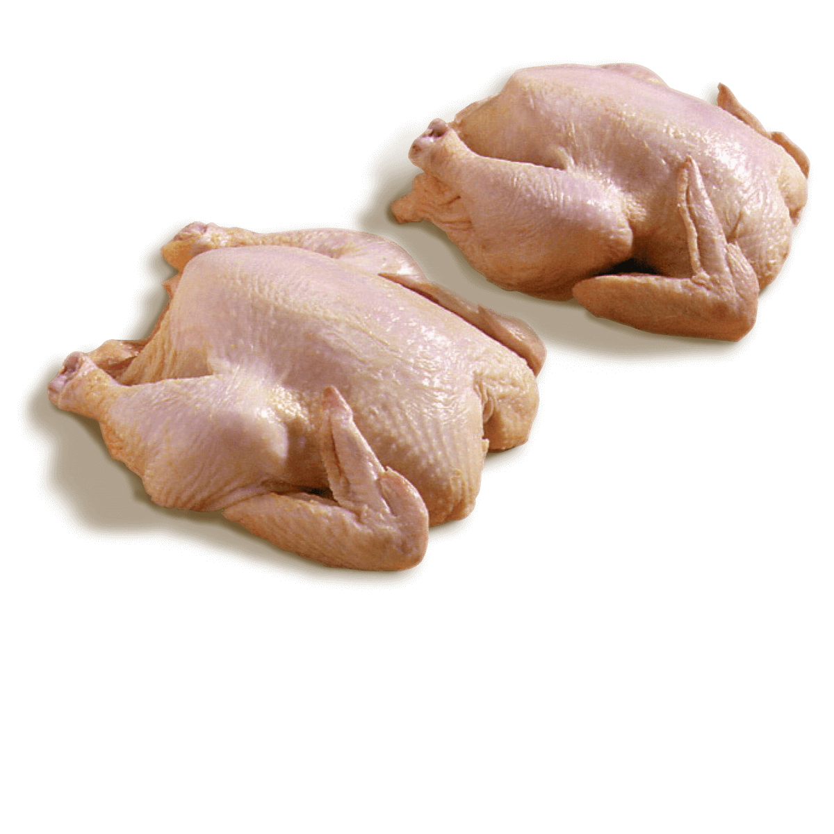 Cornish Hens