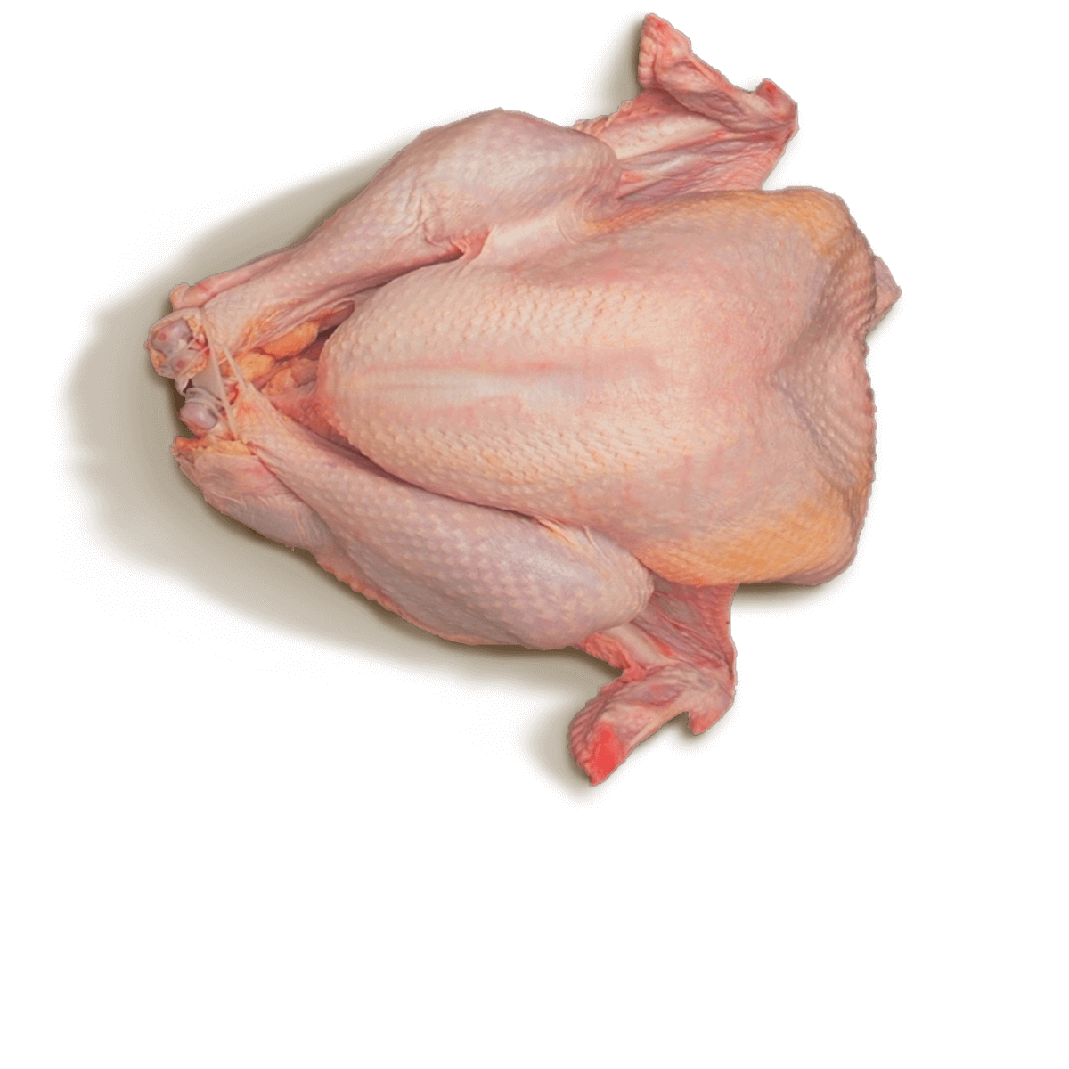Whole Turkey