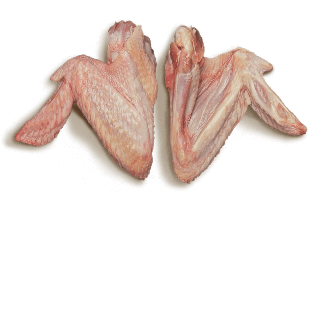 Whole Turkey Wing
