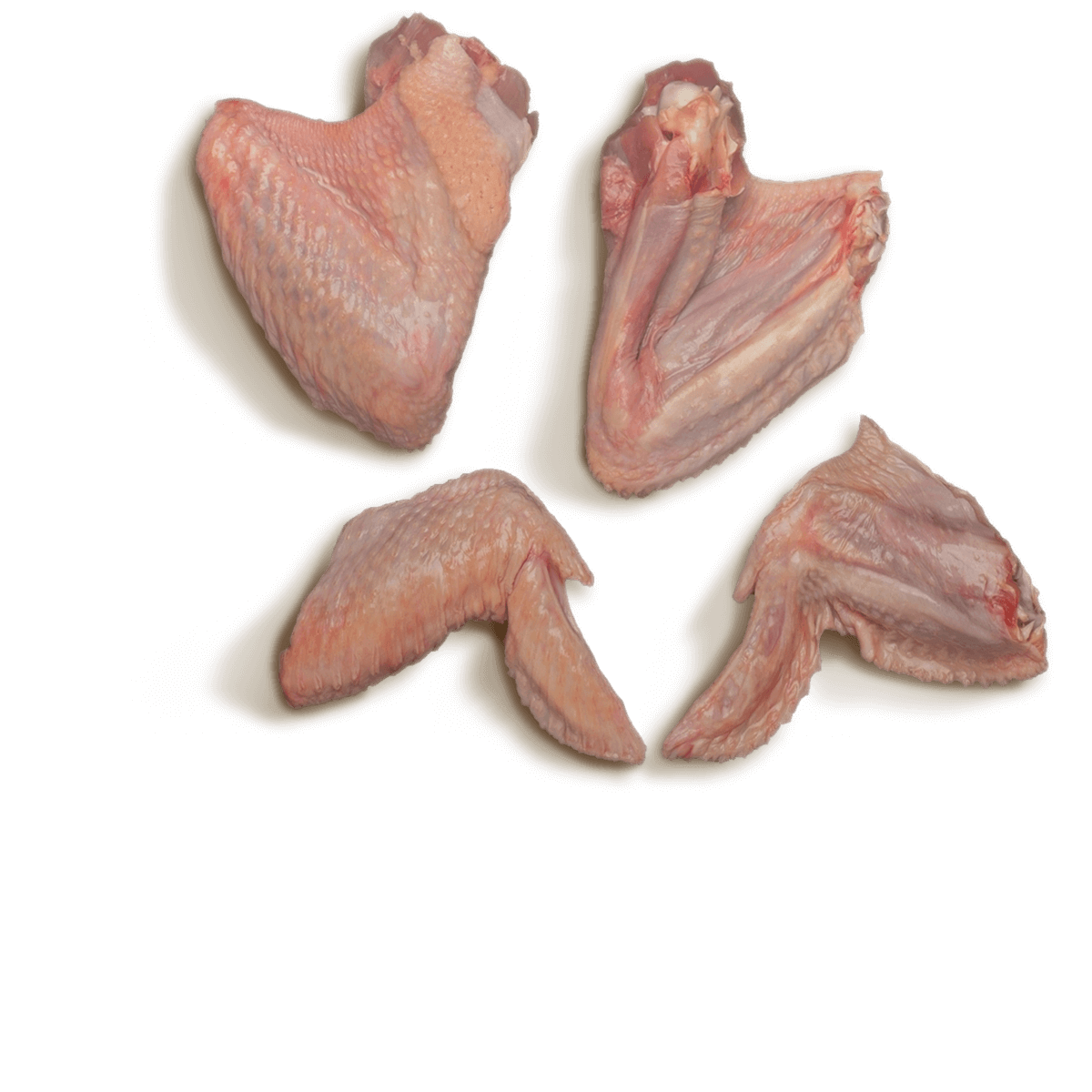 Turkey Wing Parts