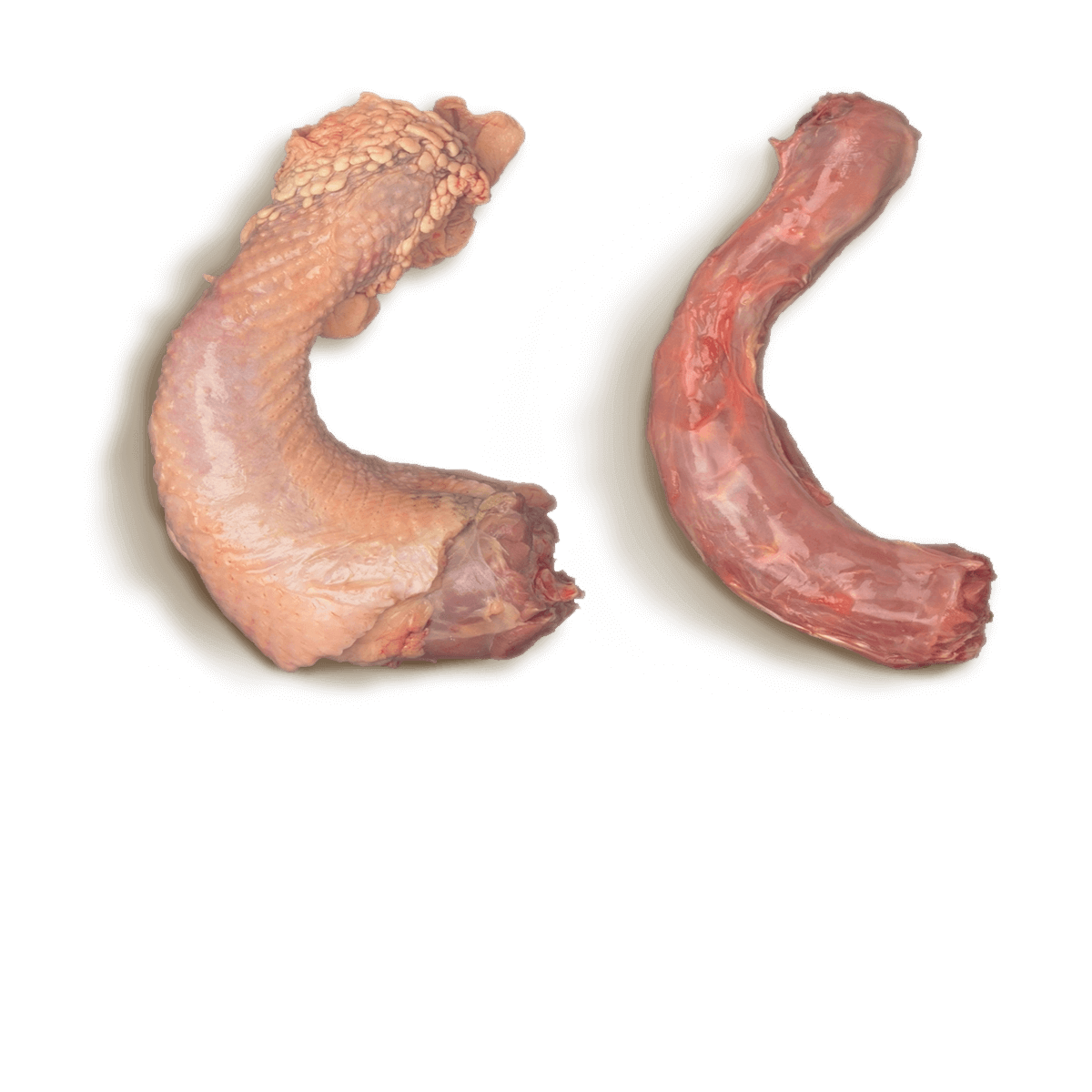 Turkey Necks