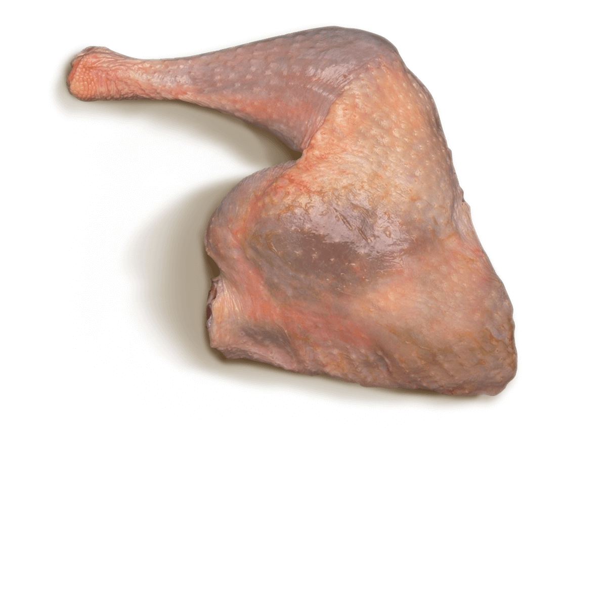 Hind Quarters