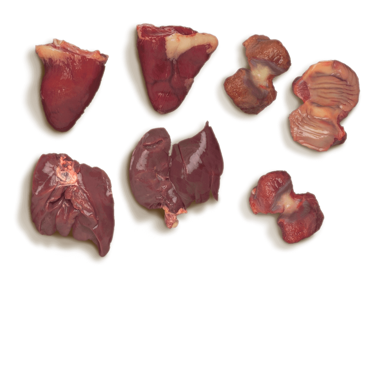 Turkey Gizzard, Heart, & Liver