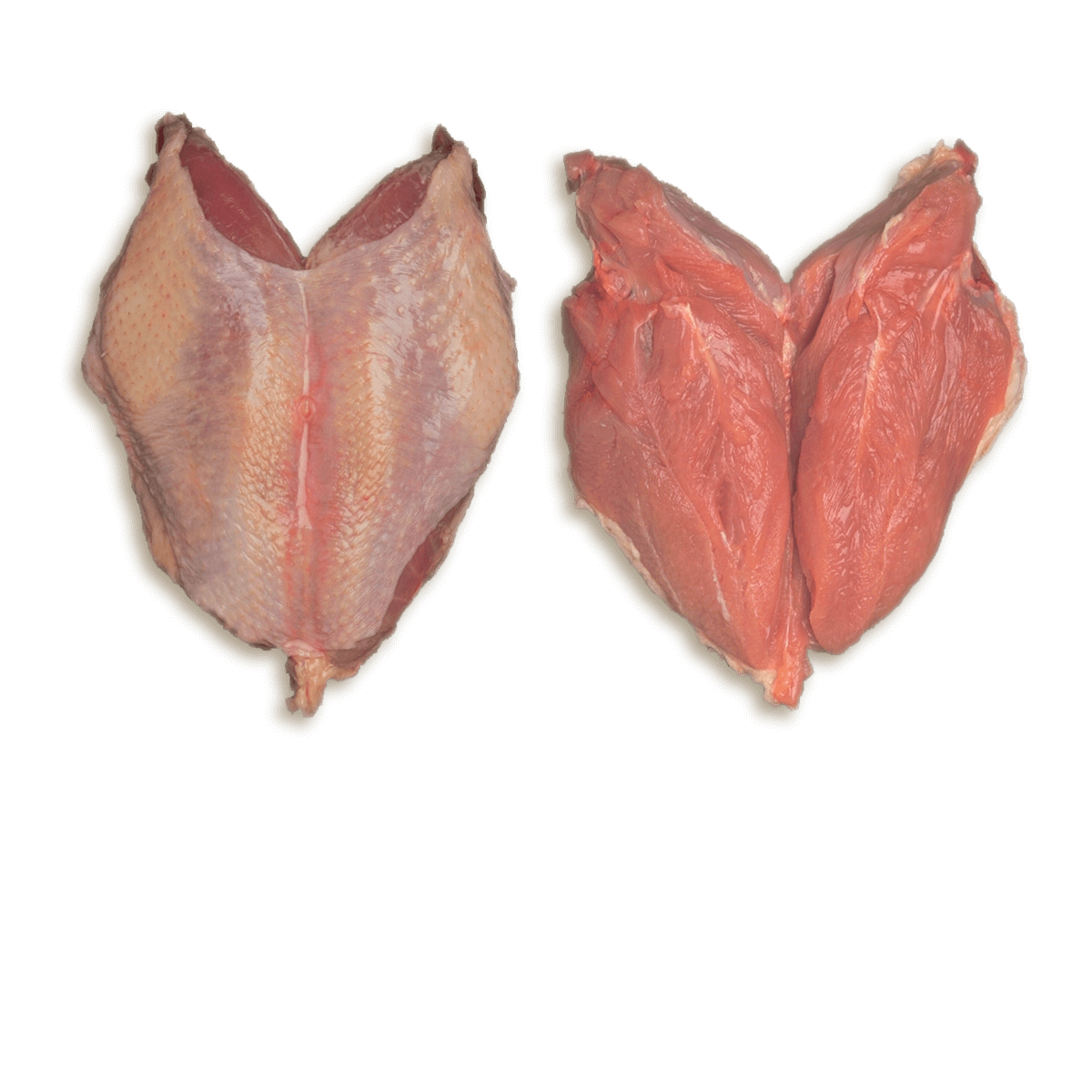 Boneless Breast