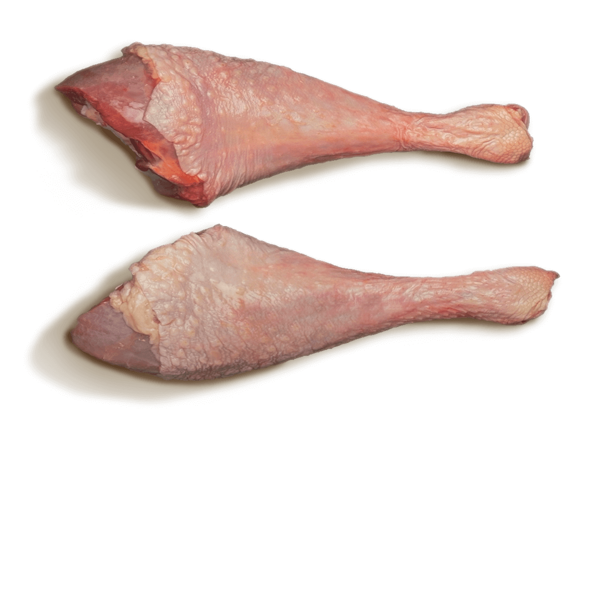 Drumstick